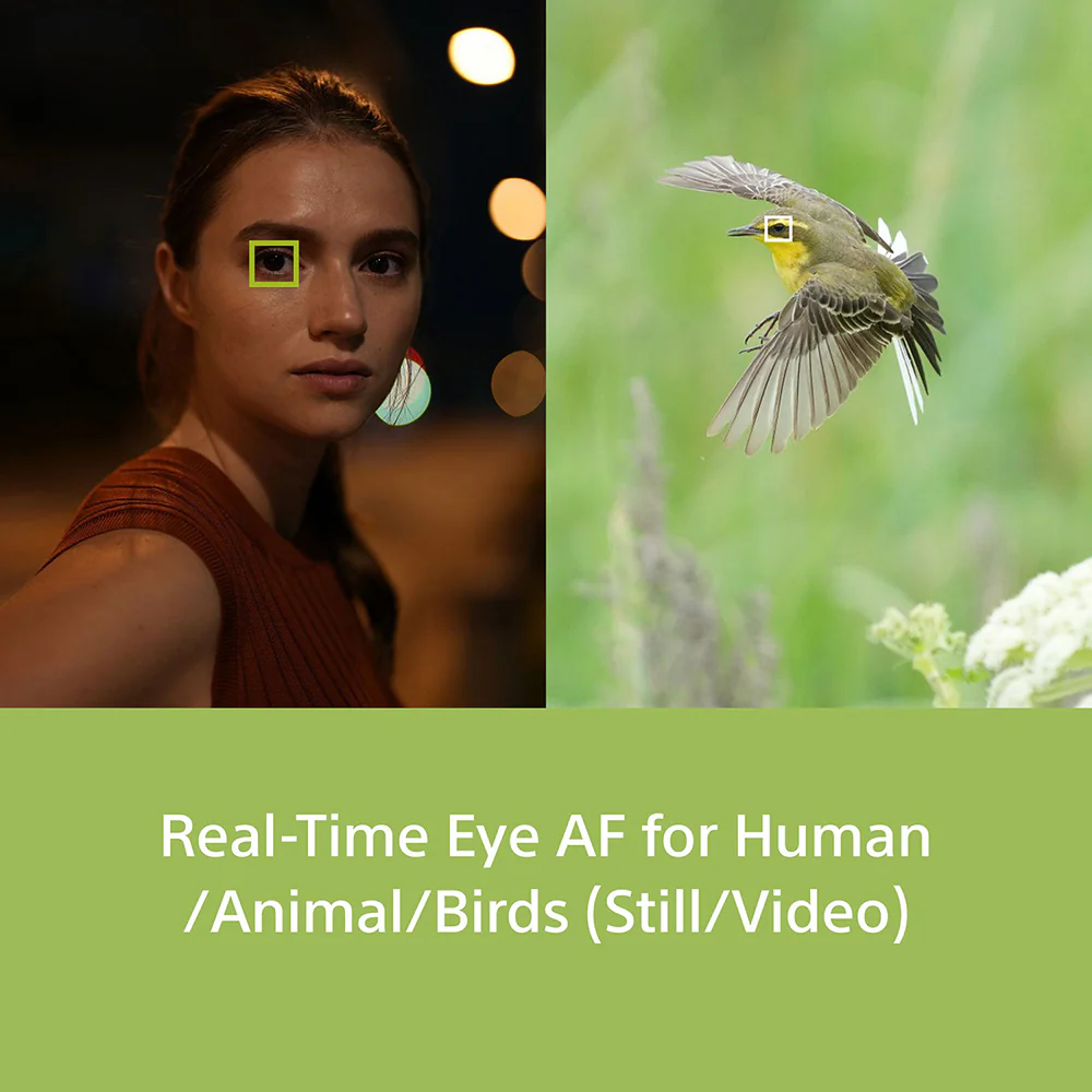 Sony Alpha 7IV Full-Frame Hybrid Camera (ILCE-7M4) | 33 MP  Mirrorless Camera, 10 FPS, 4K/60p - Image 6