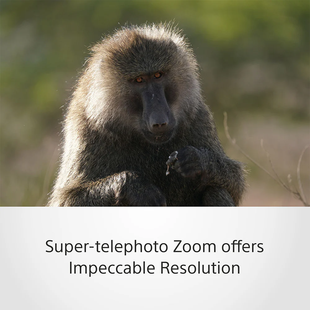 Sony FE 200–600 mm F5.6–6.3 G OSS (SEL200600G) E-Mount Full-Frame, Super-telephoto Zoom G  Lens - Image 5