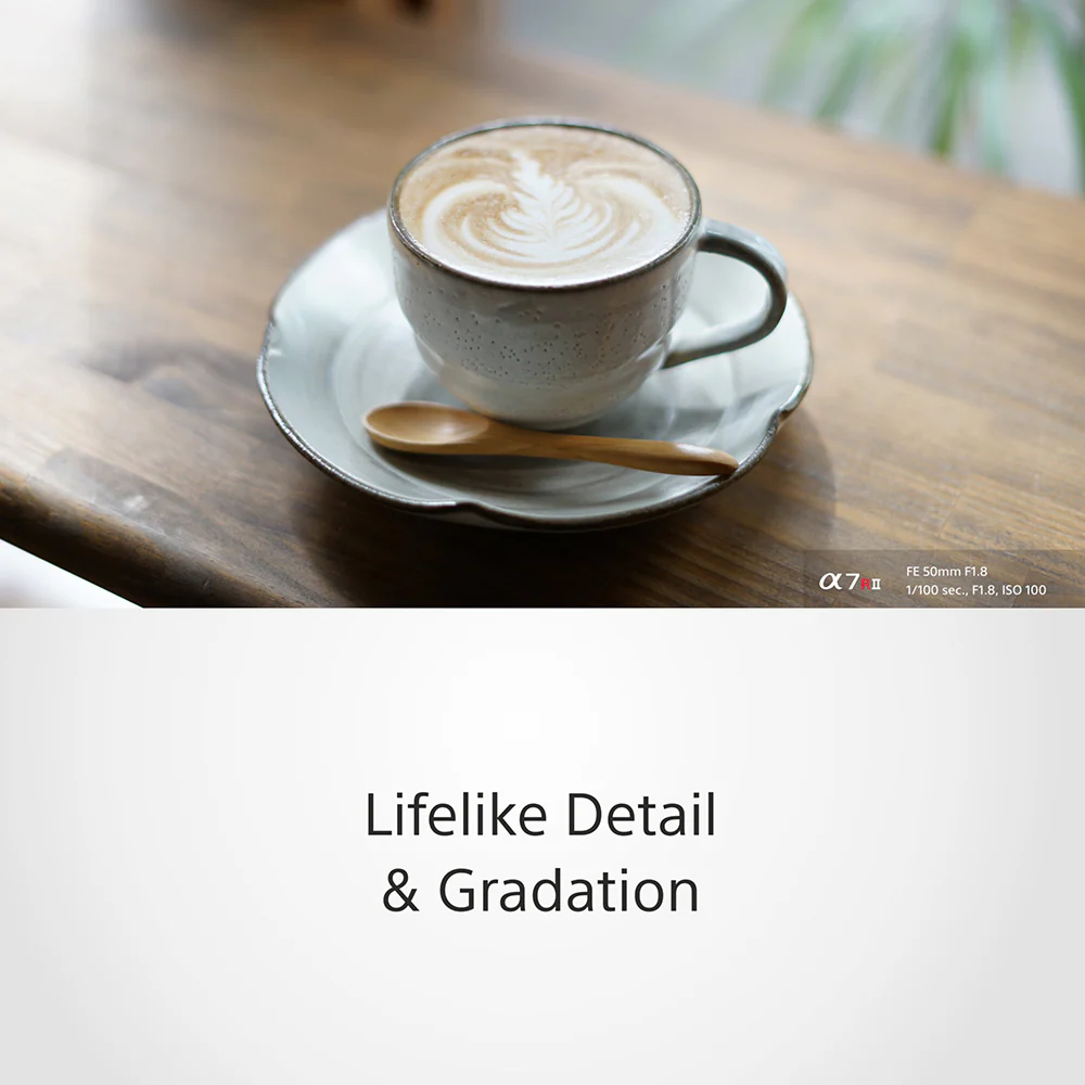 Sony FE 50mm F1.8 (SEL50F18F) E-Mount Full-frame, Large Aperture 50mm Prime Lens - Image 4