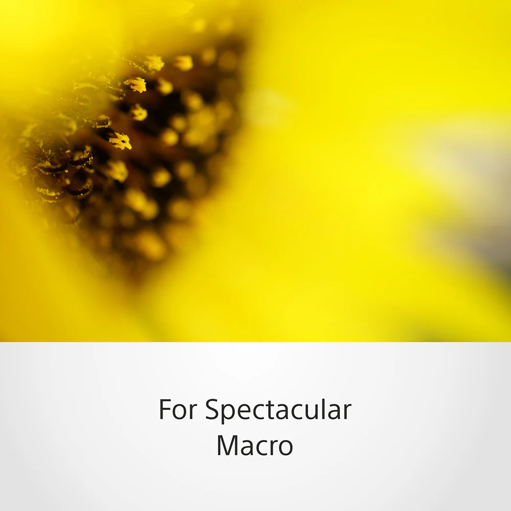 Sony FE 50 mm F2.8 Macro (SEL50M28) E-Mount Full-Frame, Standard Macro Prime Lens - Image 4