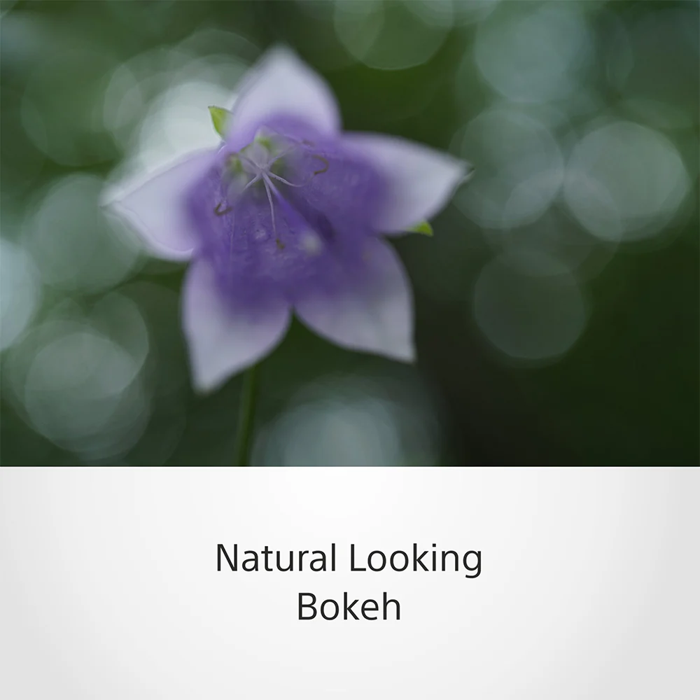 Sony FE 50 mm F2.8 Macro (SEL50M28) E-Mount Full-Frame, Standard Macro Prime Lens - Image 6