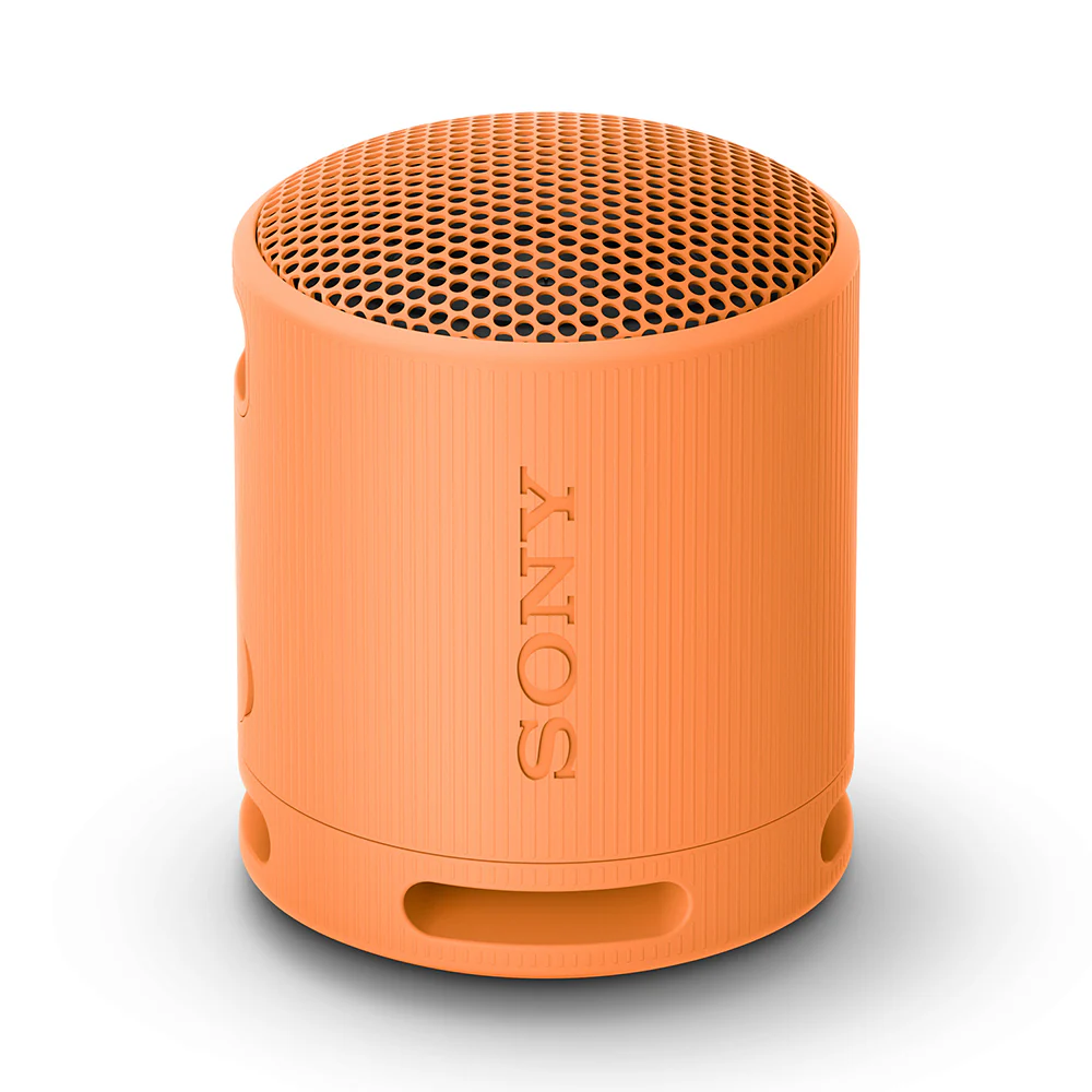 Sony SRS-XB100 Extra BASS Wireless Portable Compact Speaker IP67 Waterproof Bluetooth - Image 13